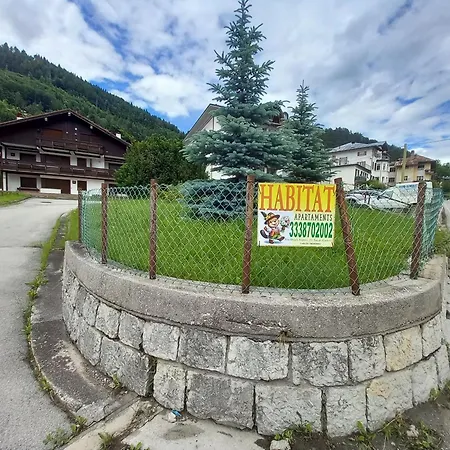Apartment Habitat Dolomiti-cadore Pieve di Cadore